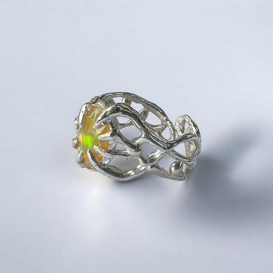 caligo: opal β