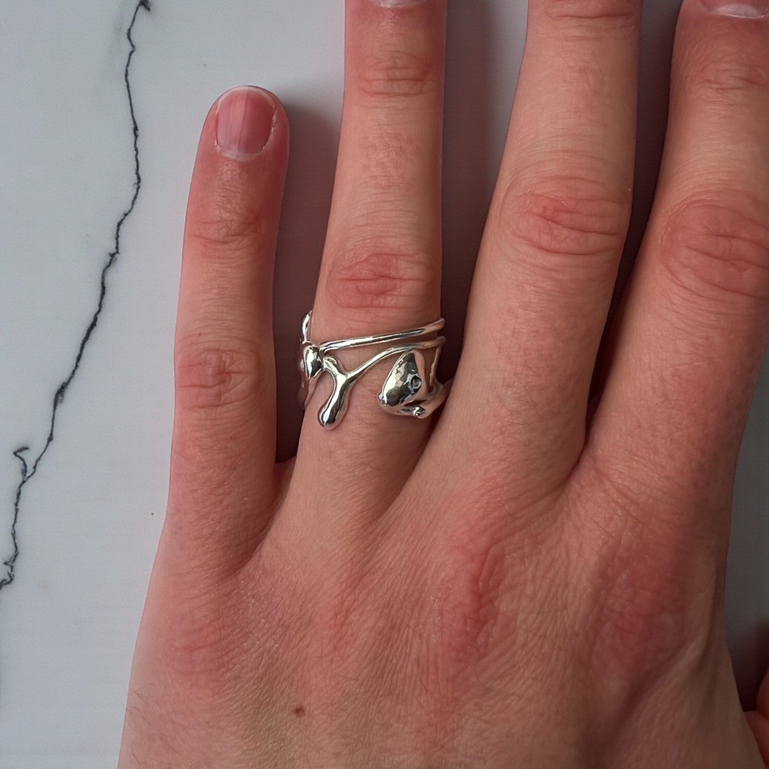 fluctus vitae: srebro θ