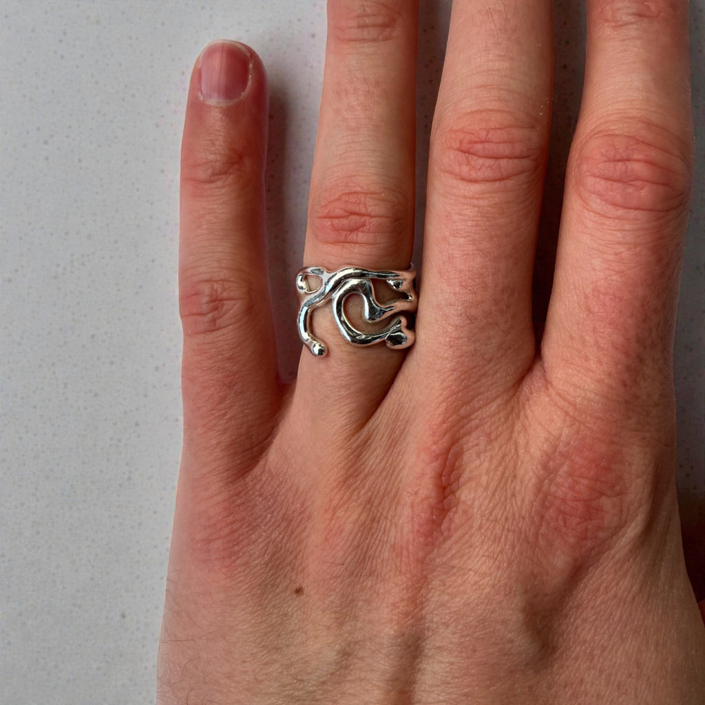 fluctus vitae: srebro κ