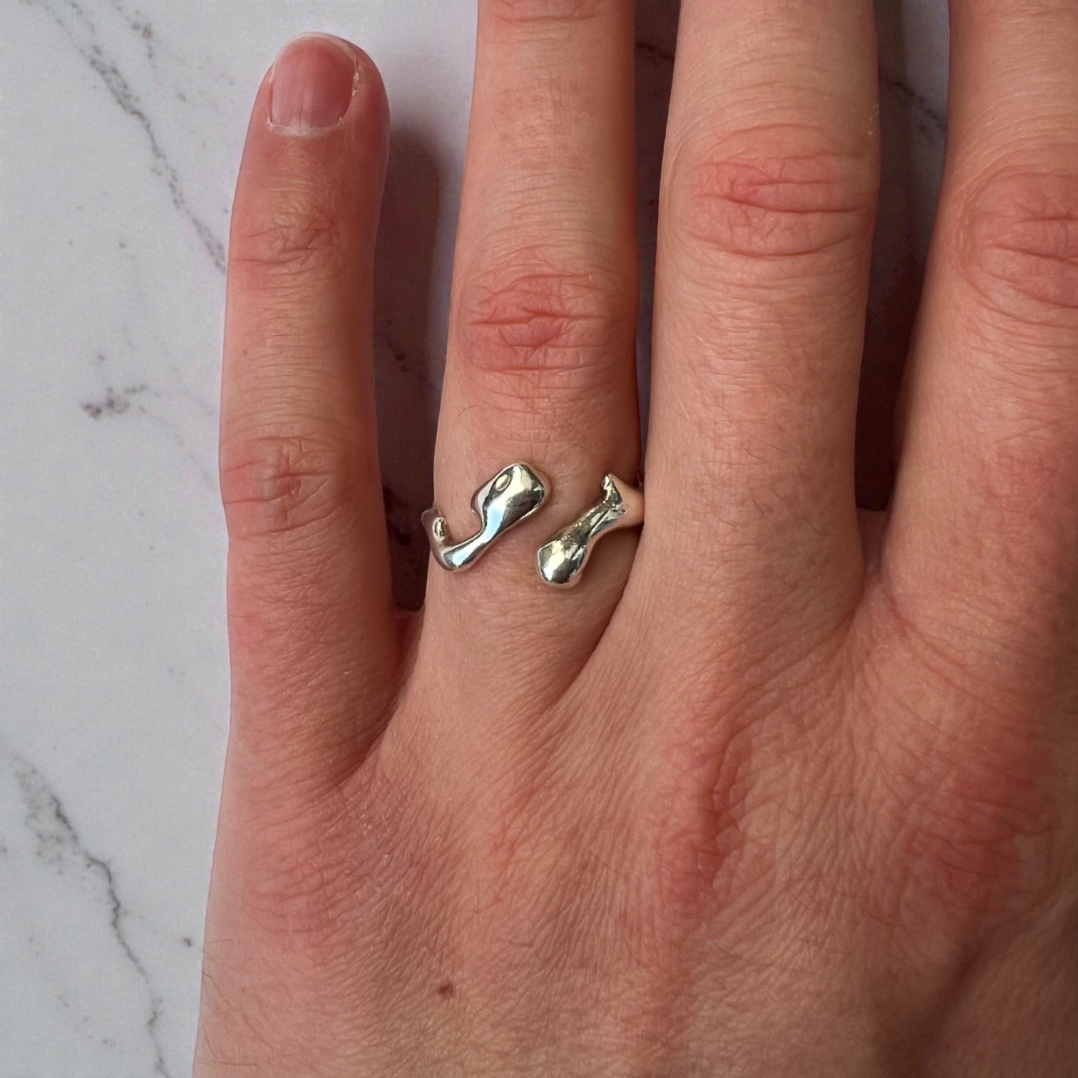 fluctus vitae: srebro η