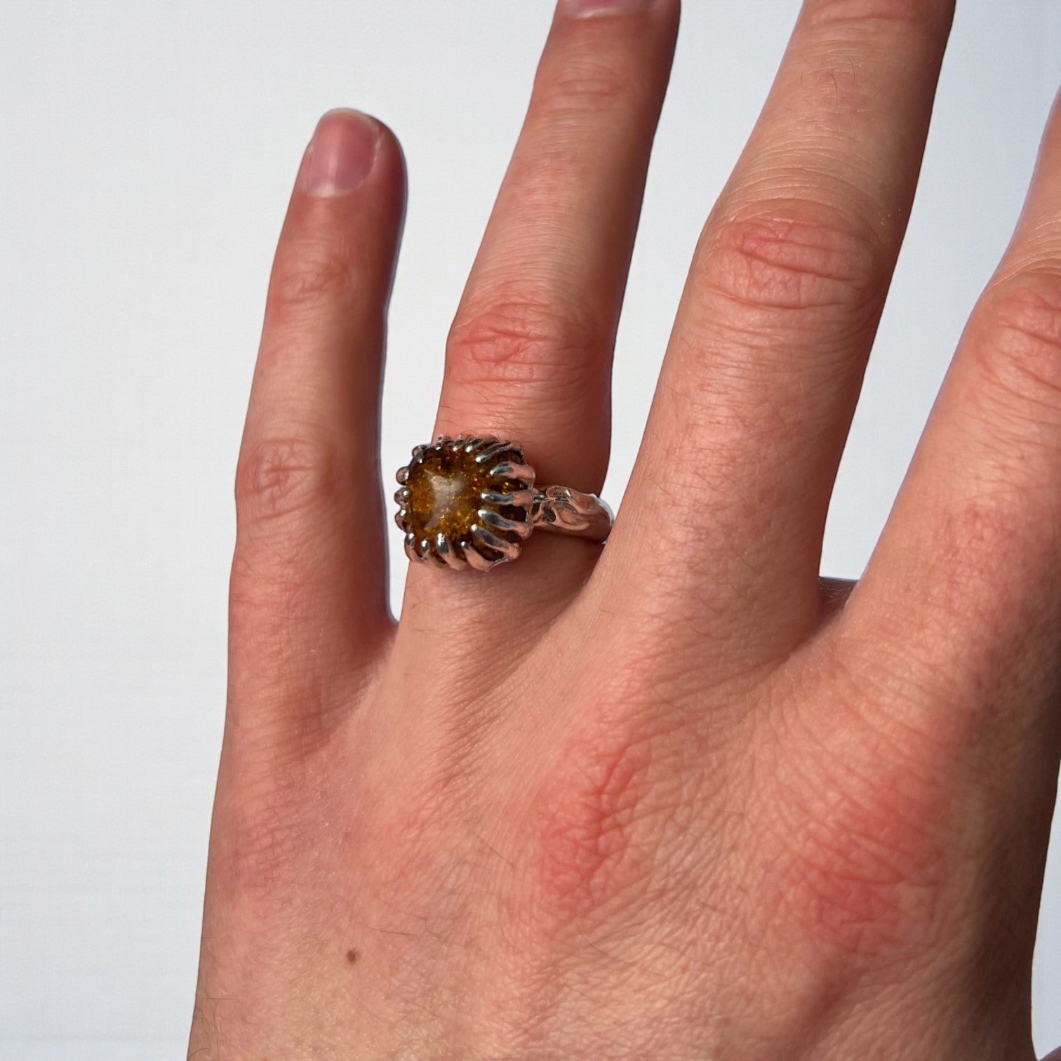 fluctus vitae: bursztyn