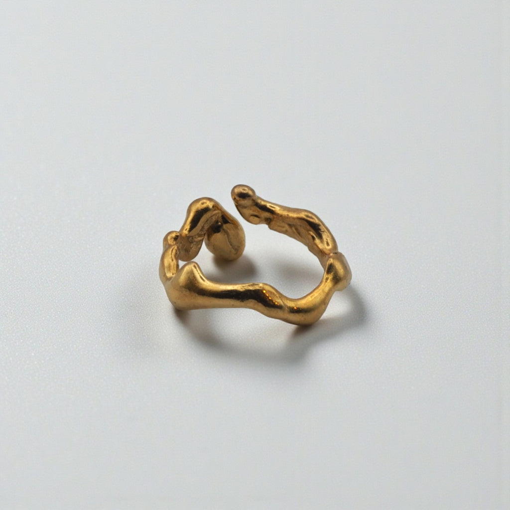 fluctus vitae: srebro ε