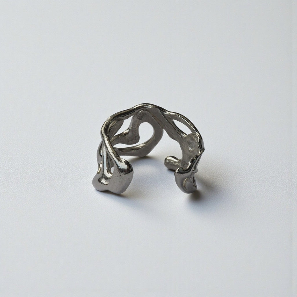 fluctus vitae: srebro κ