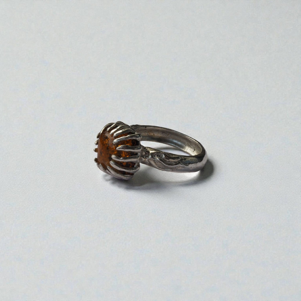 fluctus vitae: bursztyn