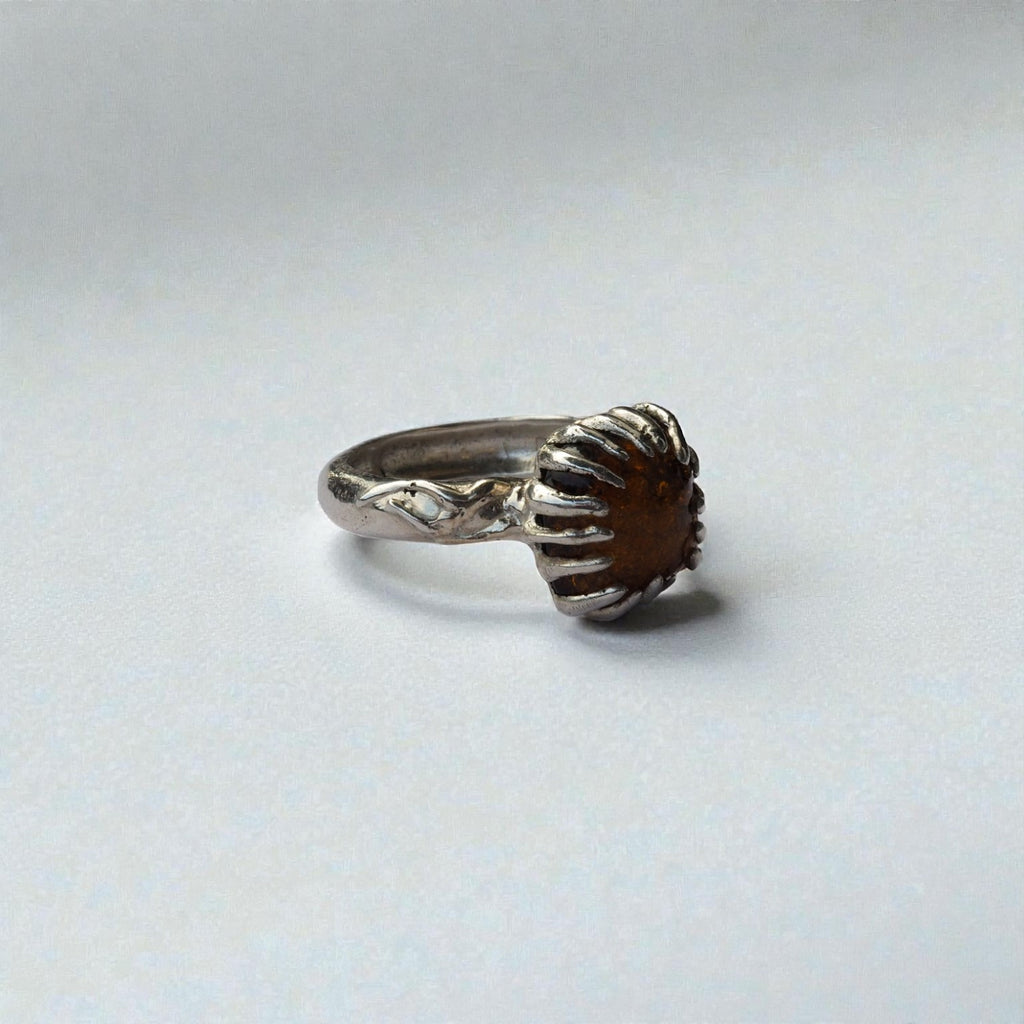 fluctus vitae: bursztyn