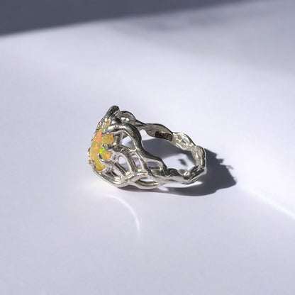 caligo: opal α