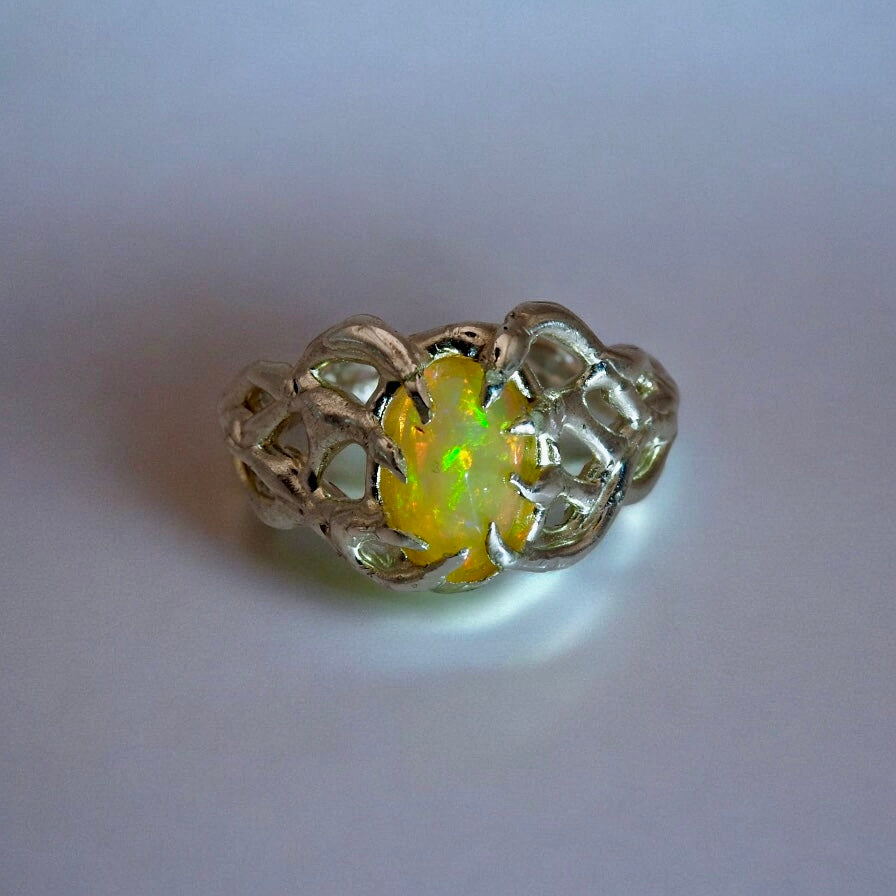 caligo: opal α