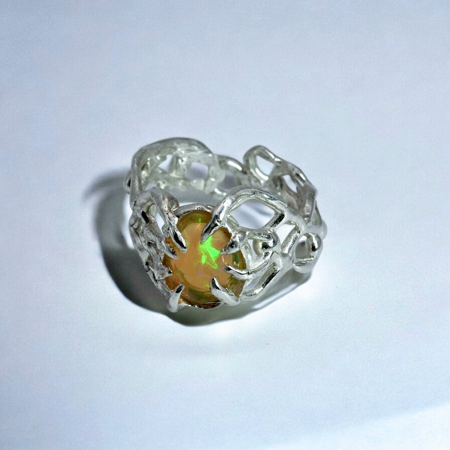 caligo: opal β